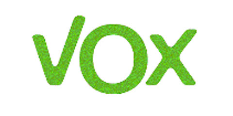 Grupo Juntero Mixto - VOX